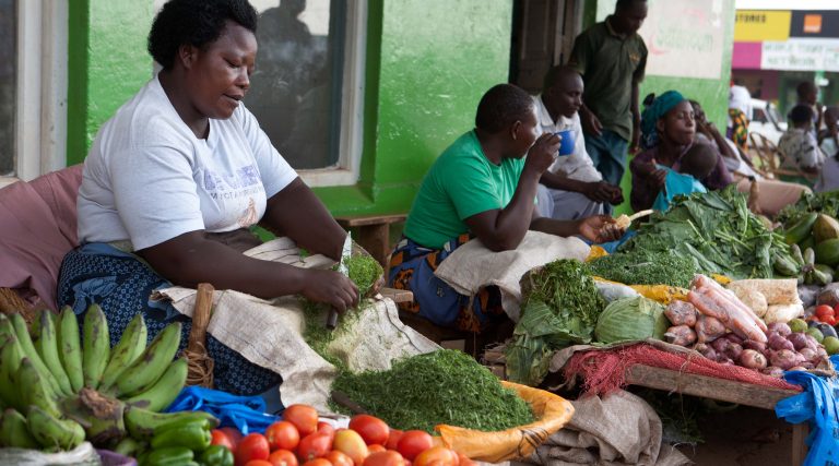 Read more about the article Where Business and Nutrition Meet: Review of Approaches and Evidence on Private Sector Engagement in Nutrition