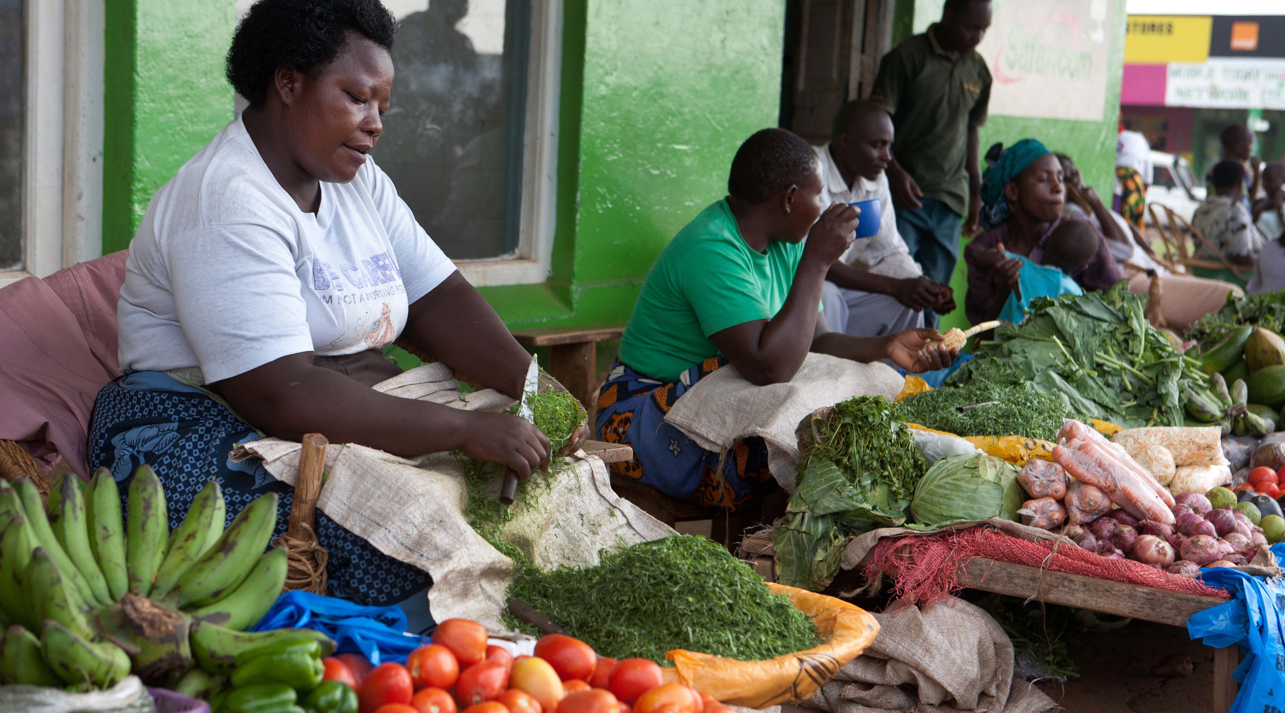 Where Business and Nutrition Meet: Review of Approaches and Evidence on Private Sector Engagement in Nutrition