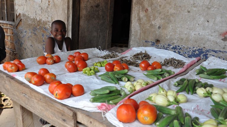 Read more about the article Planning and Costing for the Acceleration of Actions for Nutrition: Experiences of Countries in the Movement for Scaling Up Nutrition