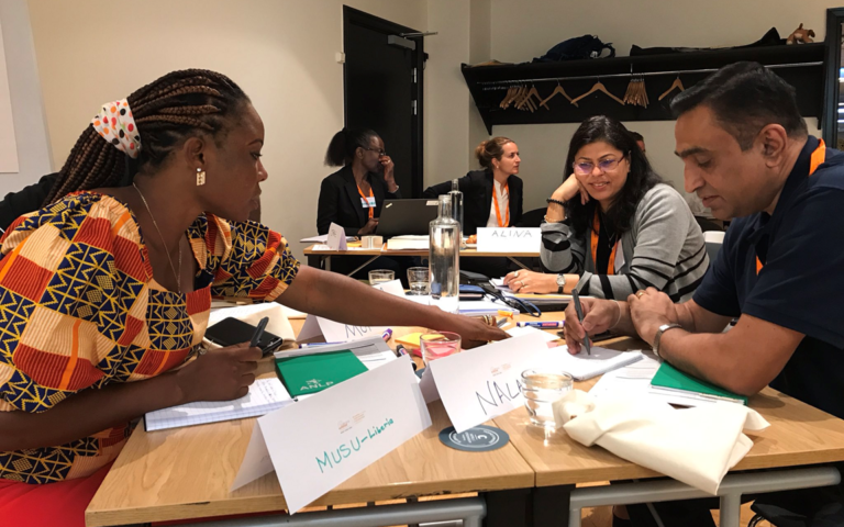 Read more about the article Strengthening functional capacity in action: Enhancing the skills of country Focal Points to support multisectoral nutrition efforts