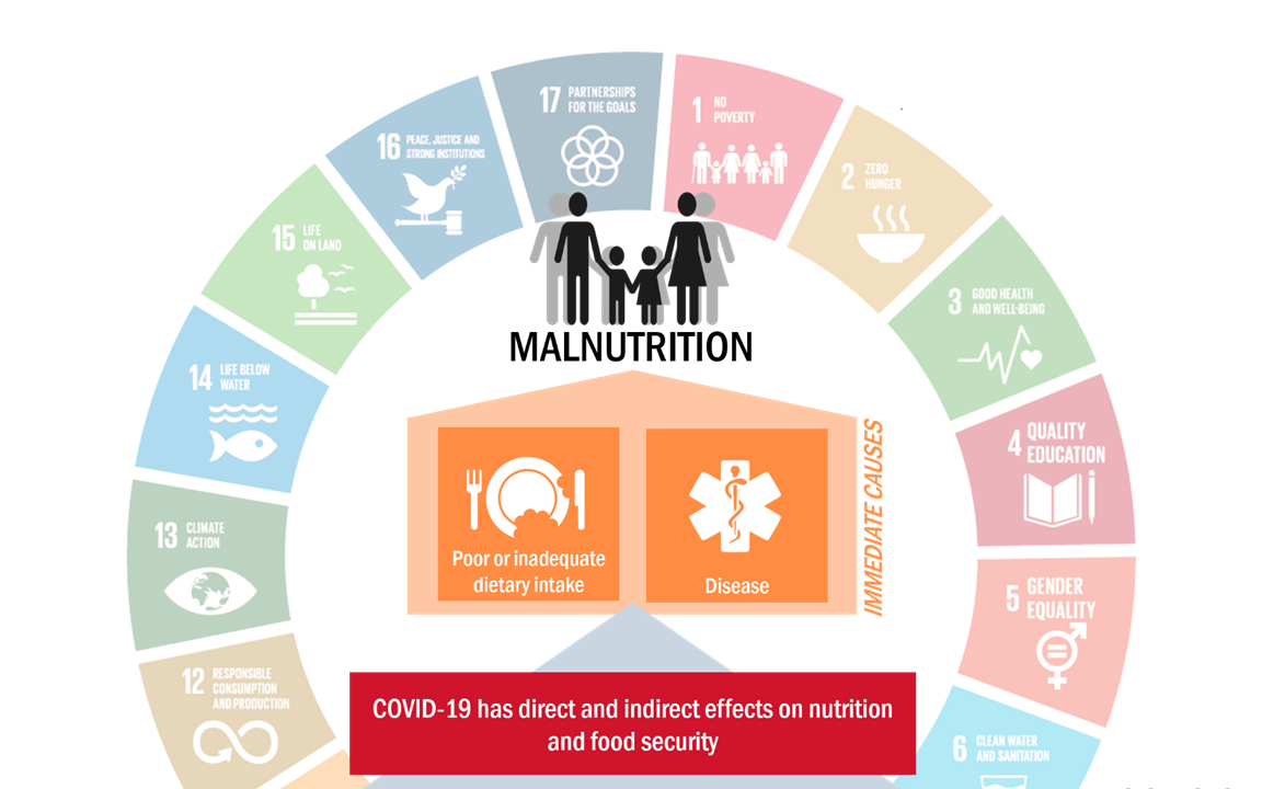 Visualising malnutrition in the time of COVID-19