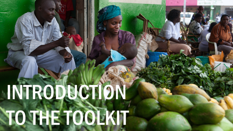 Multisectoral Planning For Nutrition: Introduction Module – MQSUN+