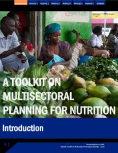 MQSUN+ Multisectoral Nutrition Planning Toolkit_Introduction_24Nov2020 ...