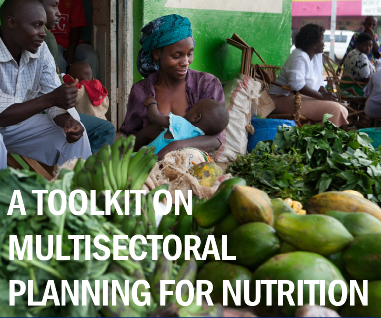 MQSUN+ Toolkit On Multisectoral Planning For Nutrition – MQSUN+